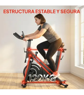 Bicicleta Estática en Casa con Resistencia Magnética Regulable Pantalla LCD Asiento y Manillar Ajustables Ruedas Negro