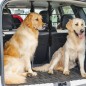 Separador para Perros Separador para Perros