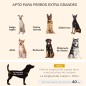 Sofá para Perros Sofá para Perros