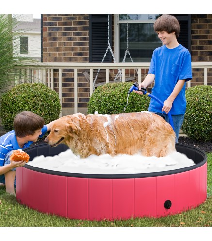 Piscina para Mascotas