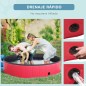 Piscina para Mascotas Piscina para Mascotas