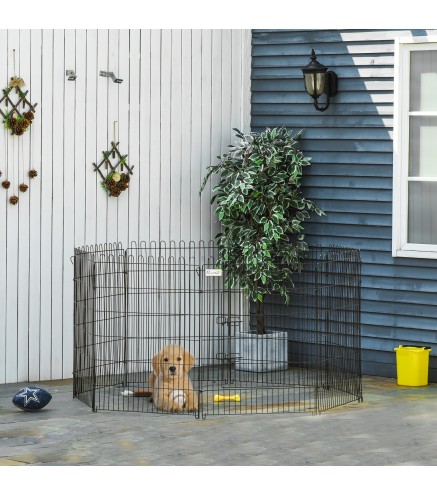 Parque de Perros