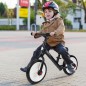 Bicicleta de Equilibrio