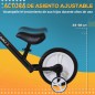 Bicicleta de Equilibrio