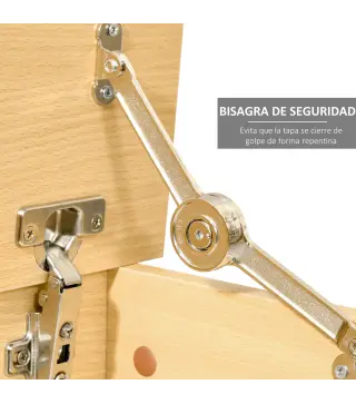 Baúl de Almacenamiento