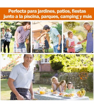 Barbacoa de Carbón