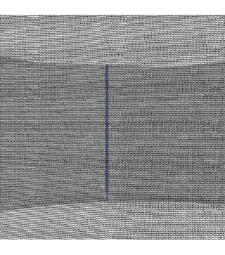 Red de Trampolín Redondo Ø244 cm para Exterior con Anti-UV y Puerta con Cremallera para 6 Postes Rectos Azul