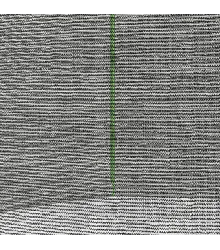 Red de Seguridad para Cama Elástica Ø244 para Exterior con Anti-UV y Puerta con Cremallera para 6 Postes Rectos Verde