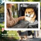 Cochecito para Mascotas