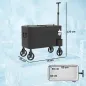 Carrito Nevera de 56L con Ruedas Mango Ajustable Abrebotellas Recogetapas Drenaje y Asa 75x35x120 cm Negro