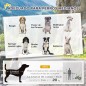 Remolque de Bicicleta para Perros Remolque de Bicicleta para Perros