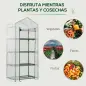 Invernadero de Exterior con 4 Estantes, Invernadero Pequeño con Puerta Enrollable, Marco de Acero y Cubierta de PE 140g/㎡, Anti-