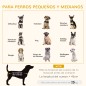 Cama de Madera para Perros Cama de Madera para Perros