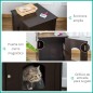 Casa para Gatos
