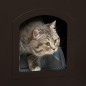 Casa para Gatos