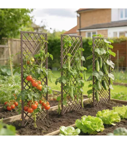 Juego de 3 Enrejados de Jardín de Mimbre Soportes para Plantas Trepadoras con Parte Superior Plana 43x112 cm Natural