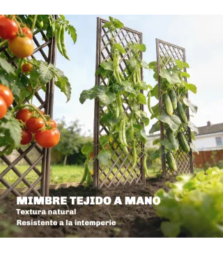 Juego de 3 Enrejados de Jardín de Mimbre Soportes para Plantas Trepadoras con Parte Superior Plana 43x112 cm Natural