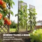 Juego de 3 Enrejados de Jardín de Mimbre Soportes para Plantas Trepadoras con Parte Superior Plana 43x112 cm Natural