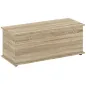 Banco de Almacenaje con Bisagra de Seguridad Estilo Moderno para Pasillo Dormitorio Salón 100x40x40 cm Roble