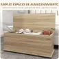 Banco de Almacenaje con Bisagra de Seguridad Estilo Moderno para Pasillo Dormitorio Salón 100x40x40 cm Roble