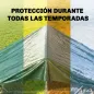 Lona Impermeable Exterior 6x8 m Toldo PE 90 g/m² Protección UV con Ojales Reforzados para Leña Muebles de Jardín Verde