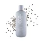 ECOFORIA LISS CONTROL CHAMPU ANTI-CHUTE 400ML