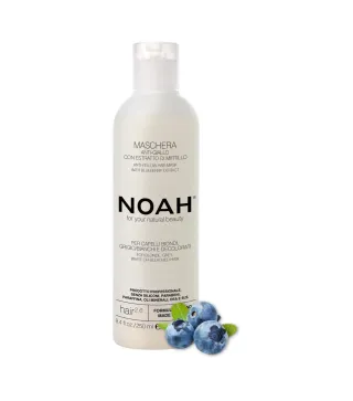 NOAH ARANDANOS ANTI-AMARILLO MASCARILLA CAPILAR 250ML