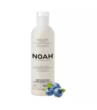 NOAH ARANDANOS ANTI-AMARILLO MASCARILLA CAPILAR 250ML