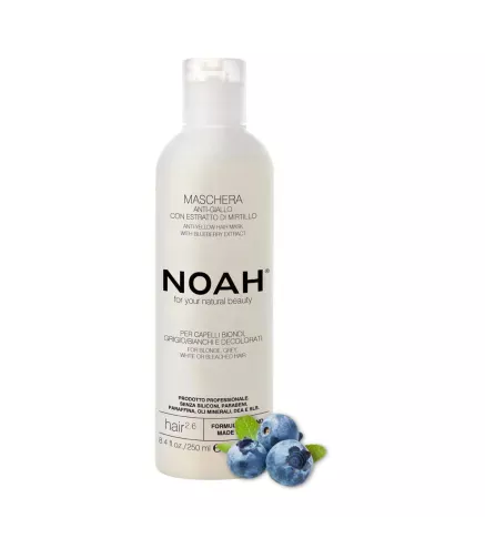 NOAH ARANDANOS ANTI-AMARILLO MASCARILLA CAPILAR 250ML
