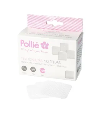 POLLIE 5X5CM MINI-TOALLITAS NO TEJIDAS PACK 300UN