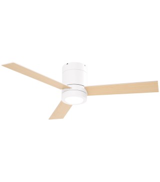 Ventilador de Techo