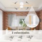 Ventilador de Techo Ventilador de Techo
