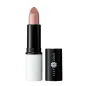 LILY LOLO BARRA DE LABIOS LIPSTICK 4GR