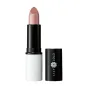 LILY LOLO BARRA DE LABIOS LIPSTICK 4GR LILY LOLO BARRA DE LABIOS LIPSTICK 4GR