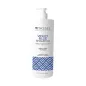 TASSEL VIOLET BLUE CHAMPU DOBLE PIGMENTACION 1000ML