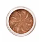 LILY LOLO BRONZE SPARKLE SOMBRA DE OJOS 2.5GR