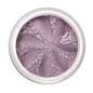 LILY LOLO MAQUILLAJE SOMBRA DE OJOS PARMA VIOLET 1.5GR