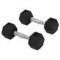 Conjunto de Mancuernas Cortas Total 10 kg - entrenamiento muscular & halterofilia - acero caucho Negro