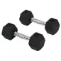 Conjunto de Mancuernas Cortas Total 10 kg - entrenamiento muscular & halterofilia - acero caucho Negro Conjunto de Mancuernas Cortas Total 10 kg - entrenamiento muscular & halterofilia - acero caucho Negro