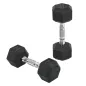 Conjunto de Mancuernas Cortas Total 10 kg - entrenamiento muscular & halterofilia - acero caucho Negro