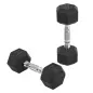 Conjunto de Mancuernas Cortas Total 10 kg - entrenamiento muscular & halterofilia - acero caucho Negro Conjunto de Mancuernas Cortas Total 10 kg - entrenamiento muscular & halterofilia - acero caucho Negro