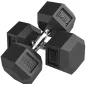 Set de 2 Mancuernas Hexagonales de 2 x 15 kg de Hierro Fundido Recubiertas en Goma para Entrenamiento en Casa Gimnasio Set de 2 Mancuernas Hexagonales de 2 x 15 kg de Hierro Fundido Recubiertas en Goma para Entrenamiento en Casa Gimnasio