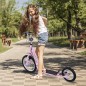 Patinete Scooter