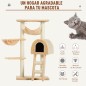 Árbol para Gatos Árbol para Gatos