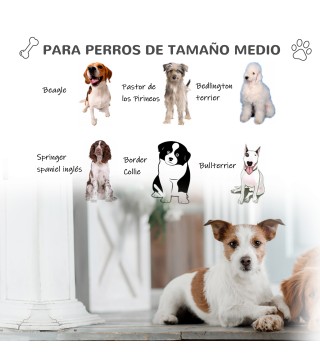 Caseta de Perros