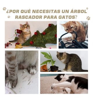 Árbol Rascador para Gatos