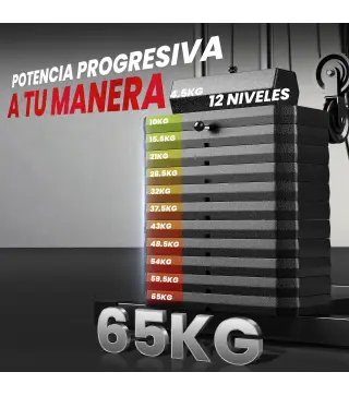 Máquina de Musculación con Pesas Ajustables de 65 kg Prensa de Pecho y Piernas Polea 135x103x210 cm Negro