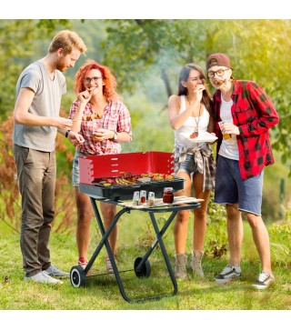 Barbacoa Plegable con Ruedas
