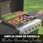 Barbacoa de Gas con 6 Quemadores Termómetro Parrilla Mesas Laterales Armario y Ruedas 135x51x101 cm Negro