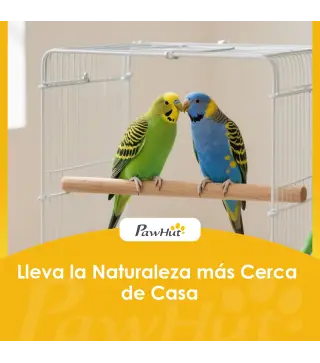 Jaula para Pájaros de Acero con Comederos Perchas Columpio y Bandeja Extraíble 50,5x41x104 cm Blanco